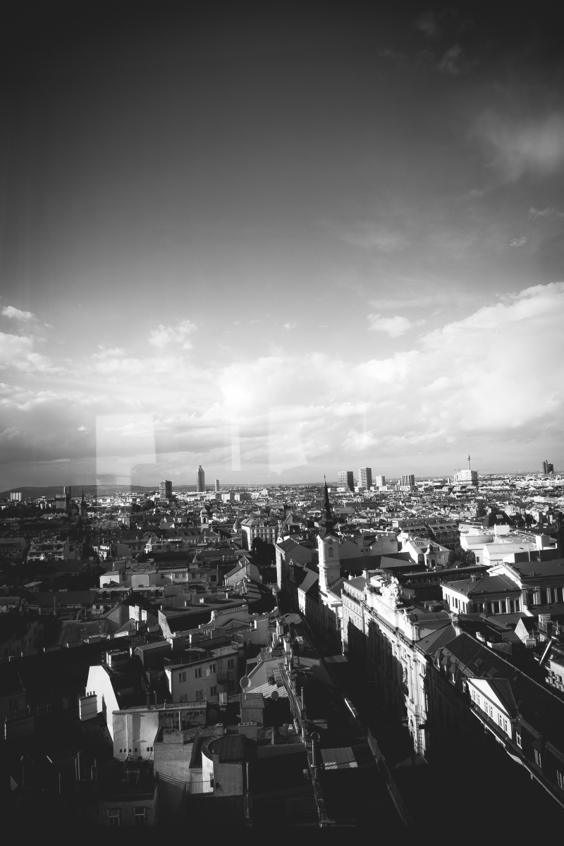 933_PicturePeople-Donauzentrum-934_1748620051743