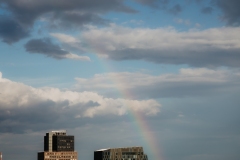 1114_PicturePeople-Donauzentrum-1115_1748676587528