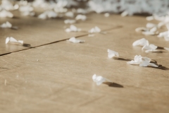 1169_PicturePeople-Donauzentrum-1170_1748676618802