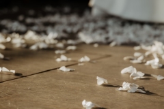 1170_PicturePeople-Donauzentrum-1171_1748676619925