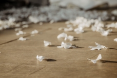 1171_PicturePeople-Donauzentrum-1172_1748676619872