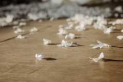 1172_PicturePeople-Donauzentrum-1173_1748676620603