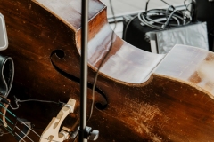 857_PicturePeople-Donauzentrum-858_1748620004116